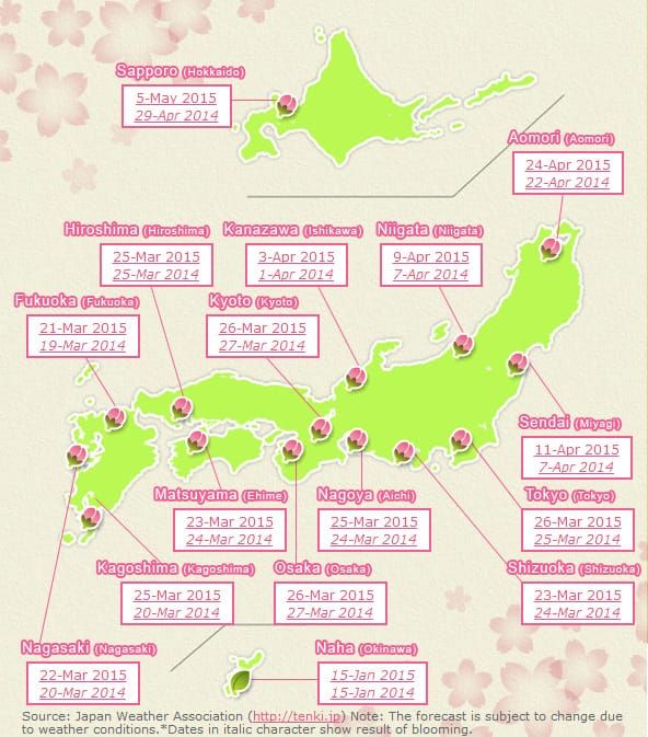 sakura_forecast_2015
