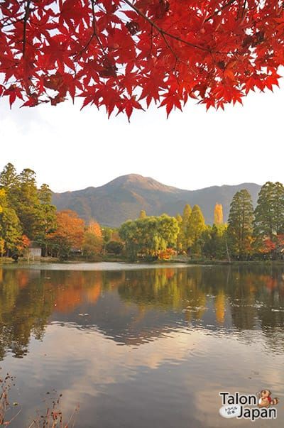 บรรยากาศช่วงฤดูใบไม้ร่วงที่ทะเลสาบคินริน Kinrin Lake