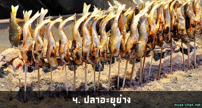 ปลาอะยุย่าง