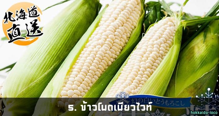 ข้าวโพดเพียวไวท์