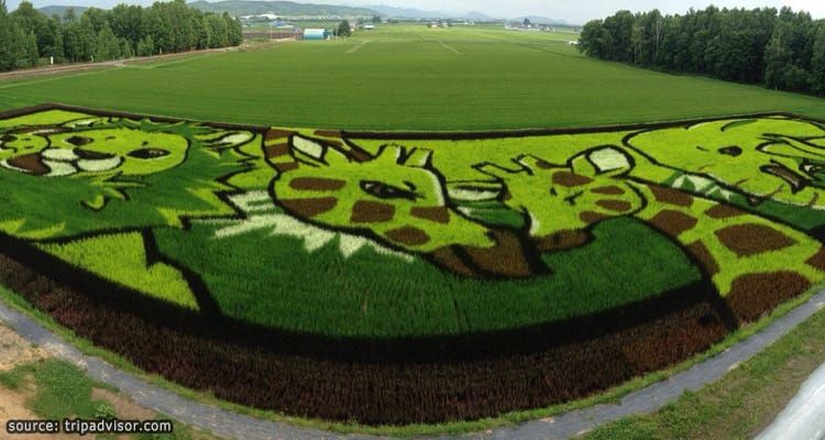 เทศกาล Tanbo Art