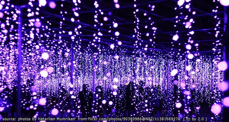 สวนดอกไม้ อาชิคางะ