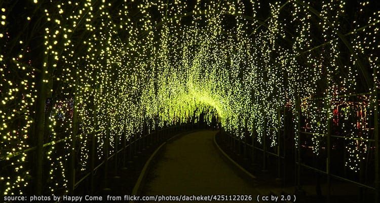 สวนดอกไม้ อาชิคางะ