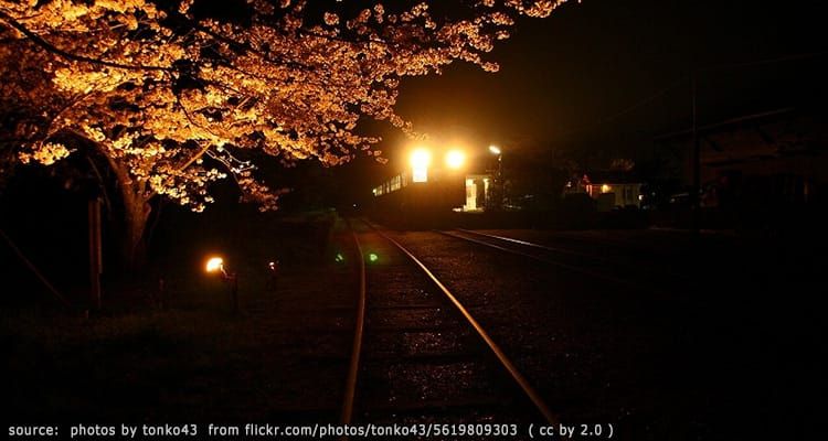 ทางรถไฟกลางทุ่งดอกไม้