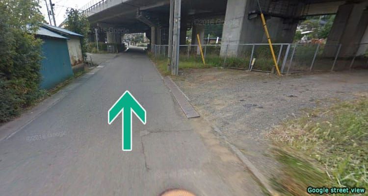 วิธีการเดินไปเจดีย์แดงชูเรโตะ, ฟูจิ