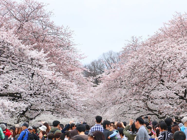 สวนอุเอโนะ ueno