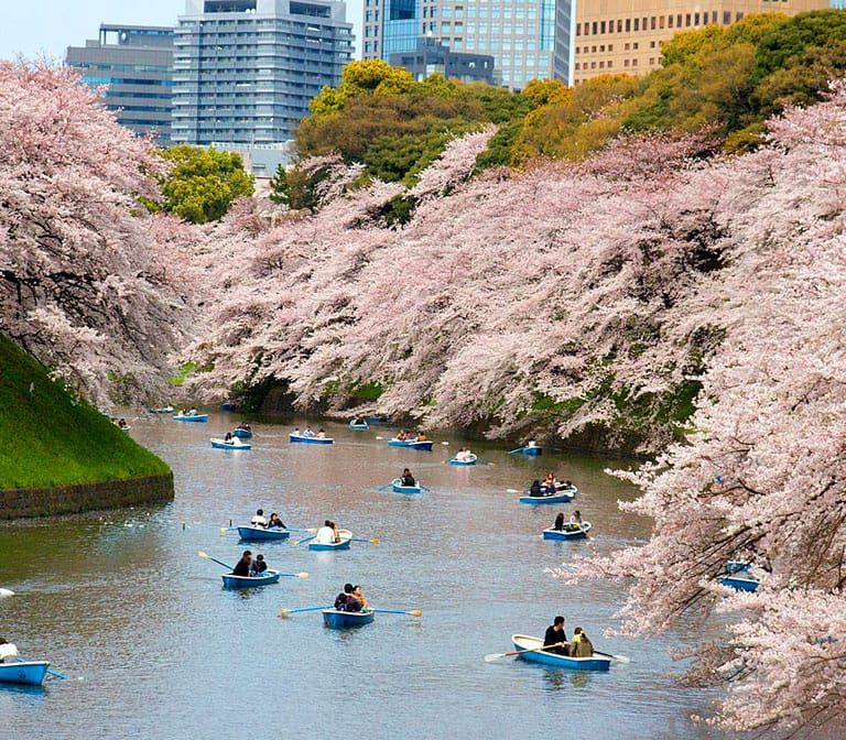 Chidorigafuchi