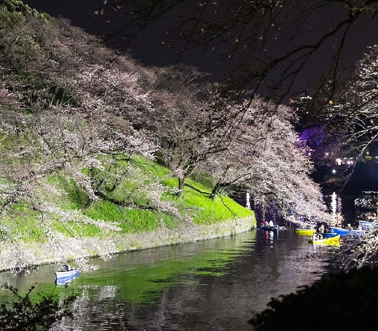 Chidorigafuchi