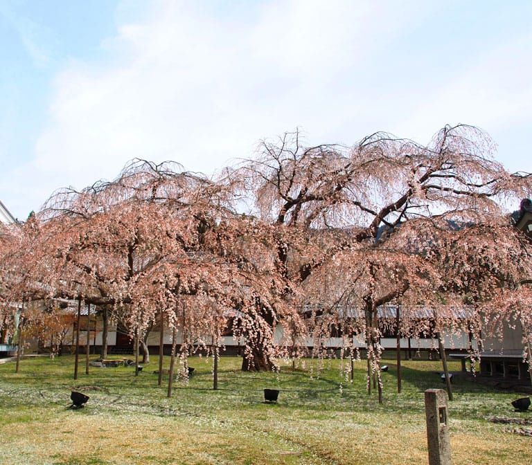 Daigoji Temple
