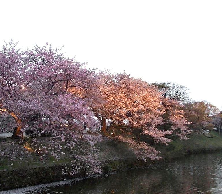Fukuoka Castle Ruin