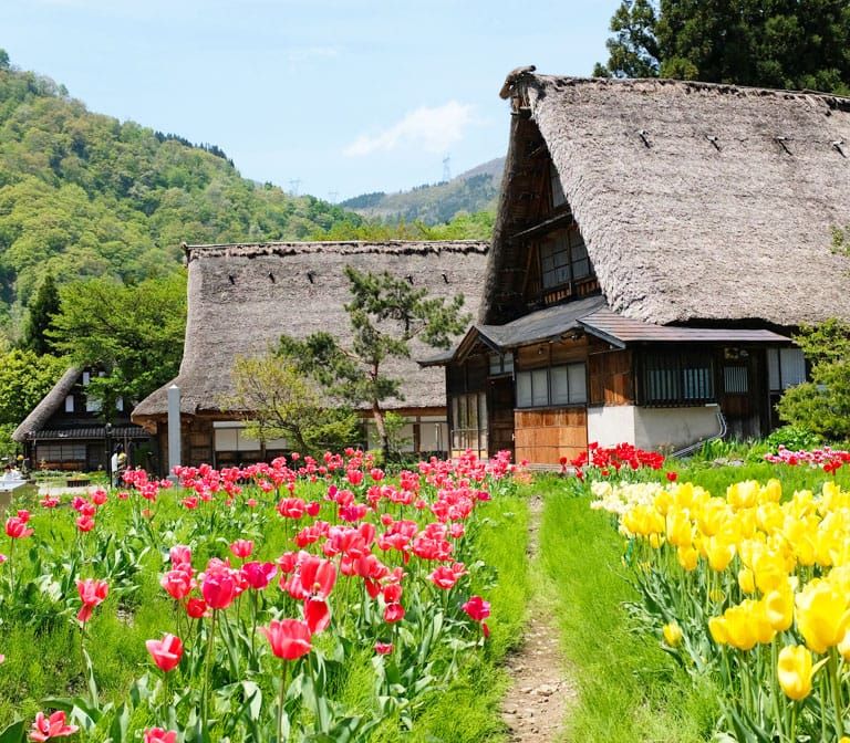 Gokayama