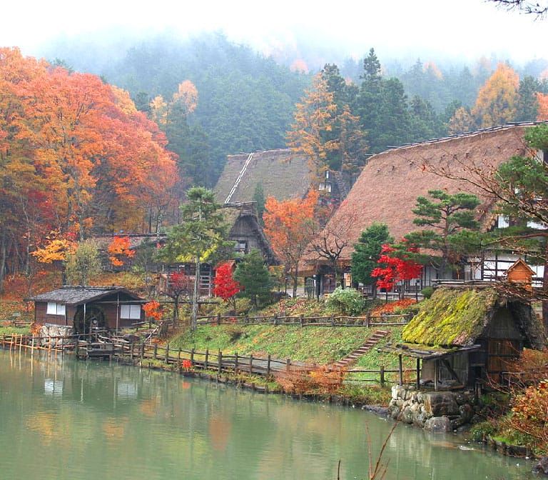 Hida