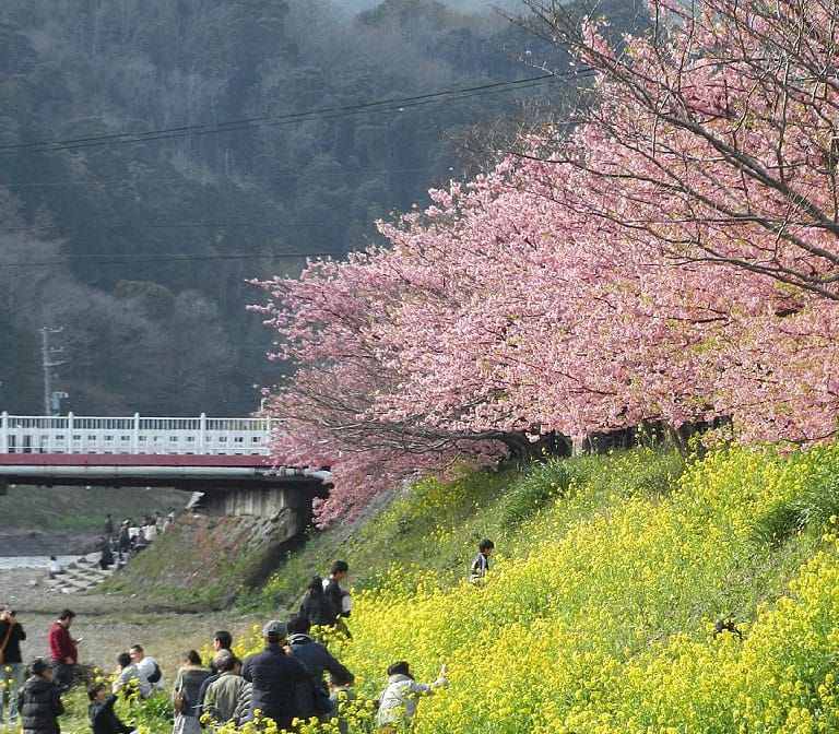 Kawazu-River