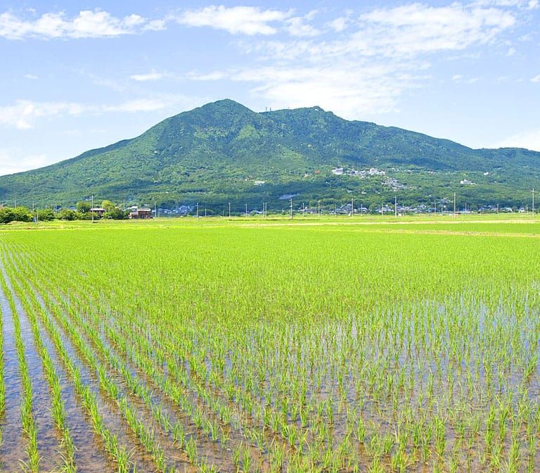 MtTsukuba