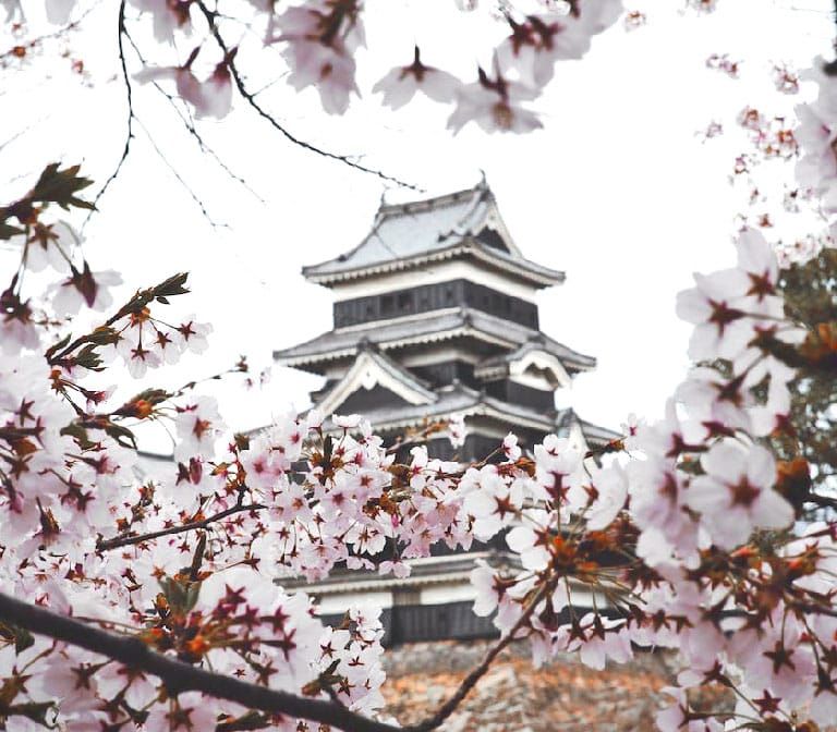 Nagoya Castle