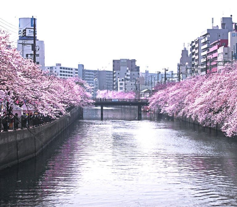 OOKAGAWA River (Yokohama)