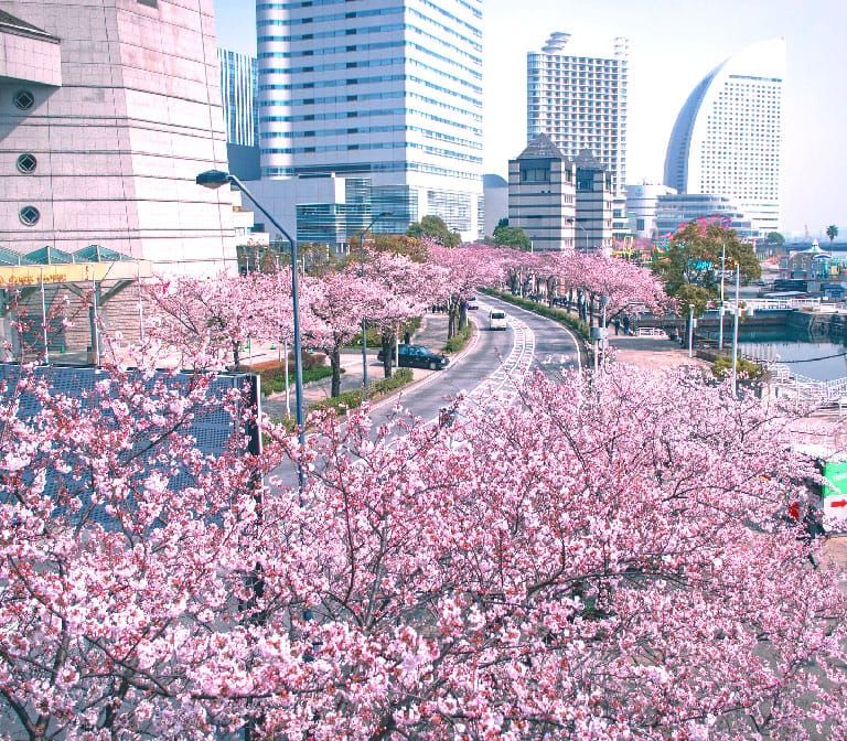 OOKAGAWA-River-(Yokohama)-2