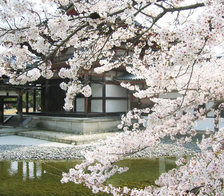 uji-kyoto