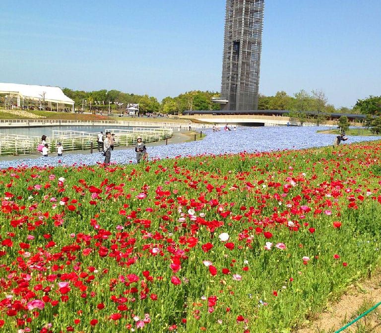 Hamamatsu Flower Park