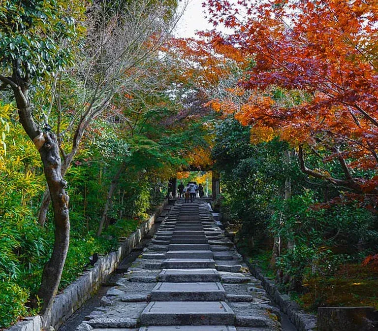 Mt. Satsukiyama