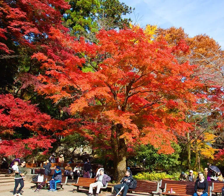 Mt Takao