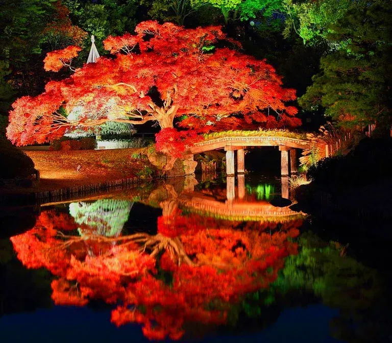 rikugien-garden