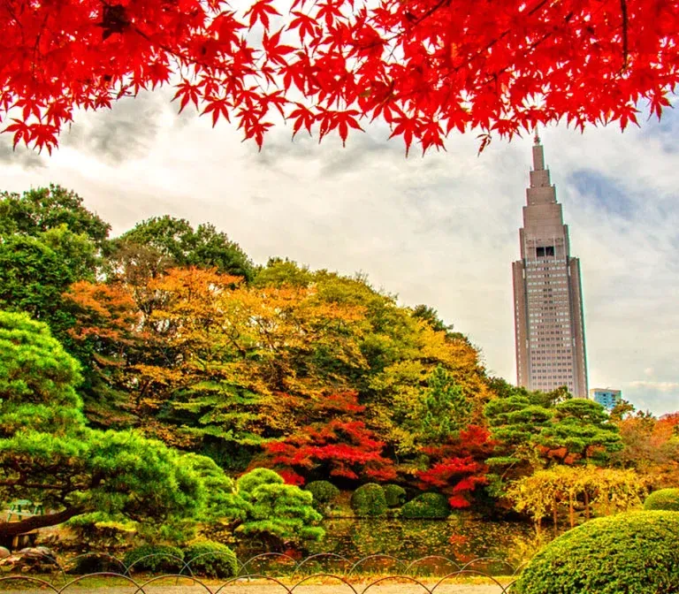 Shinjuku Gyoen