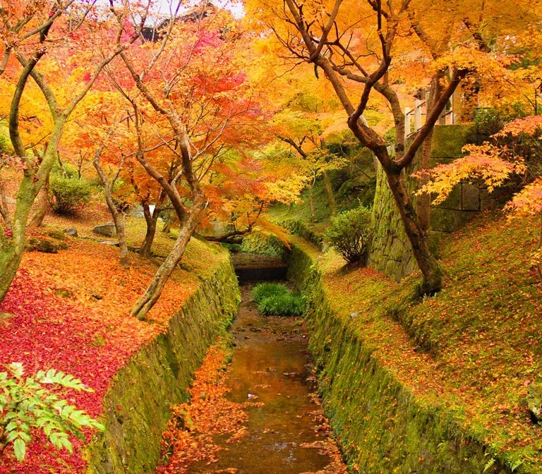 Tofukuji