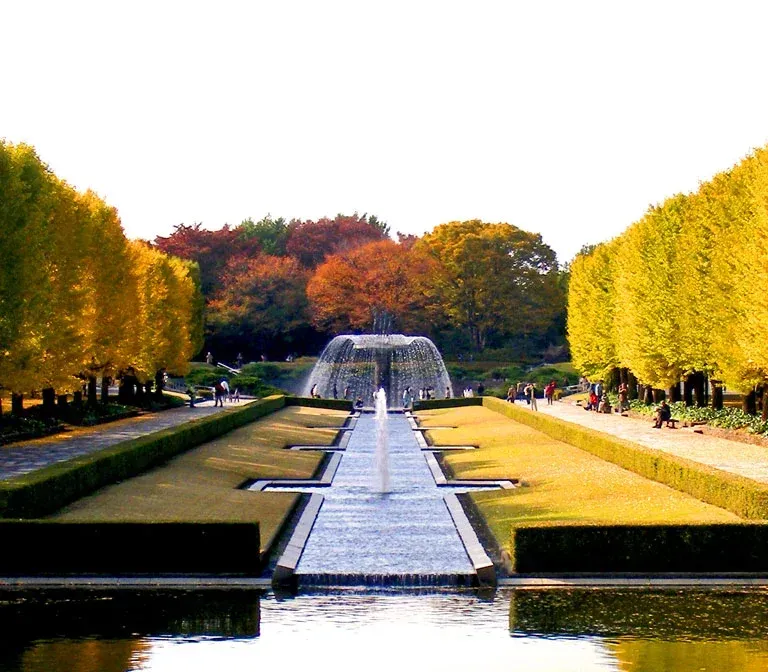 showa-kinen-park