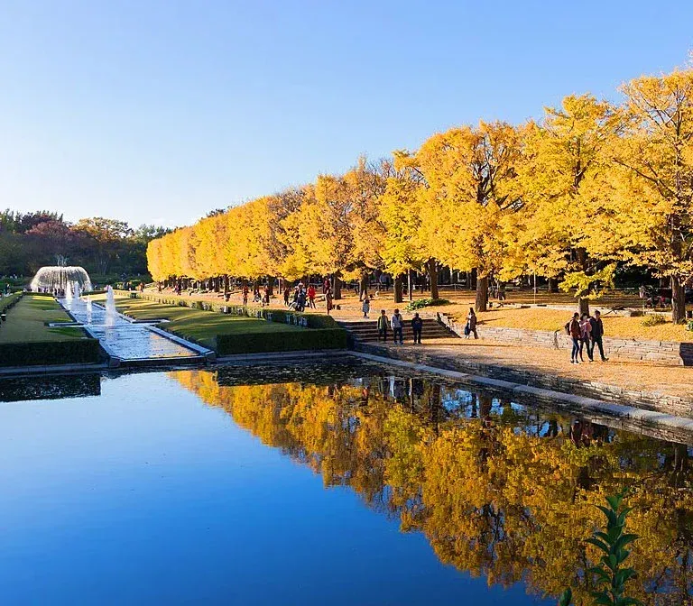 showa-kinen-park