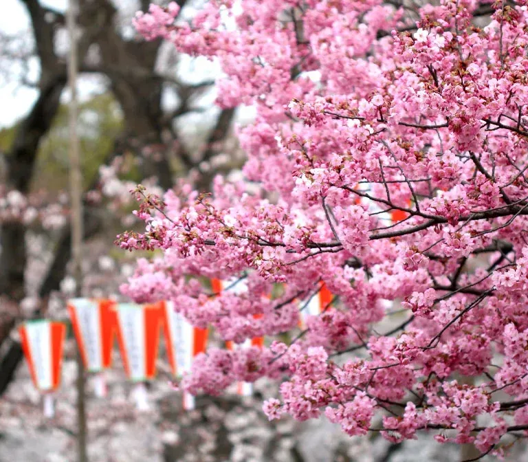 Ueno Park