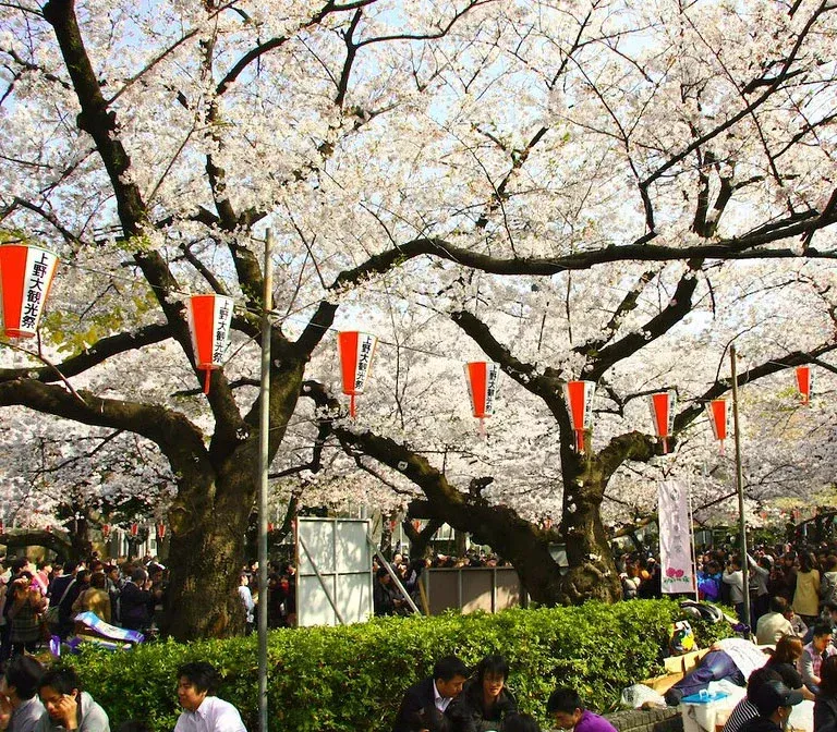 Ueno Park
