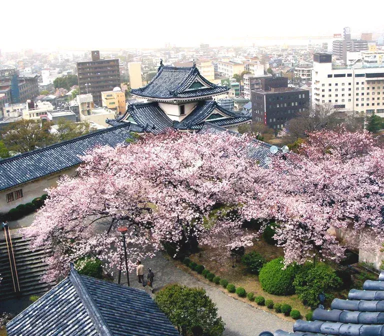 wakayama