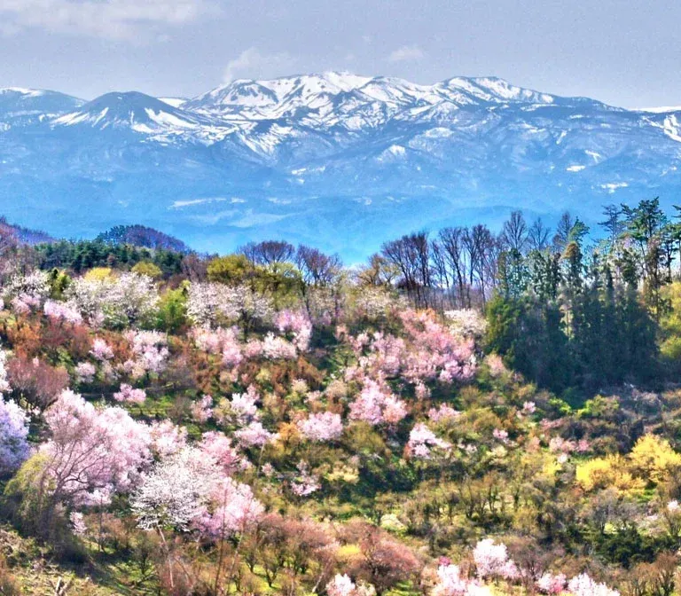 Hanamiyama Park