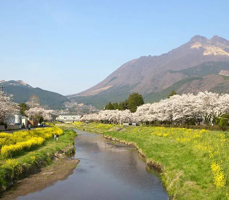 oitagawa-river-yufuin