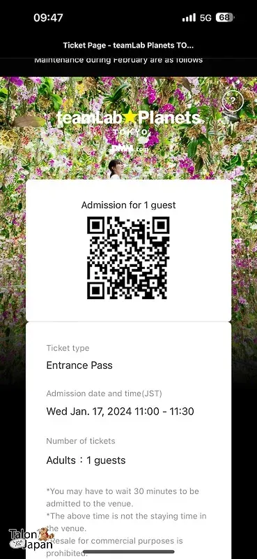 Review image of Teamlab Tokyo