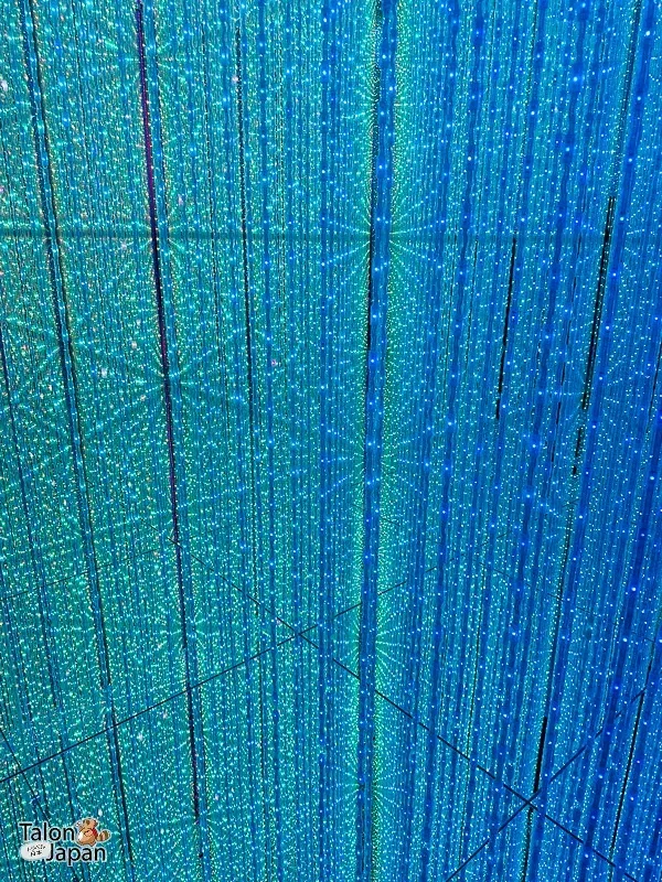 Review image of Teamlab Tokyo