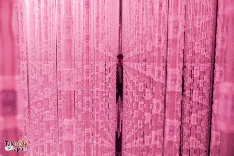 Review image of Teamlab Tokyo