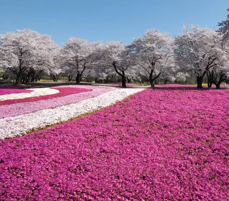 Tobu Treasure Garden