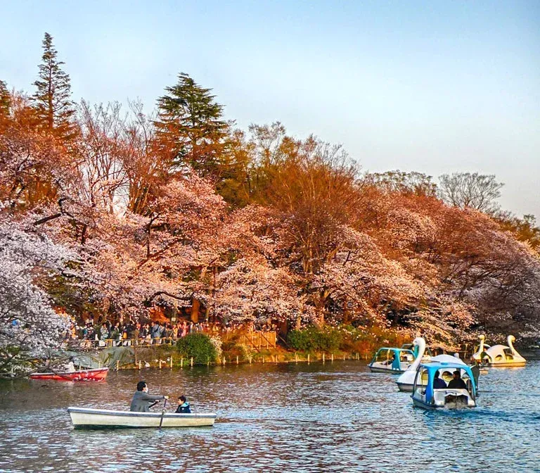 inokashira-park