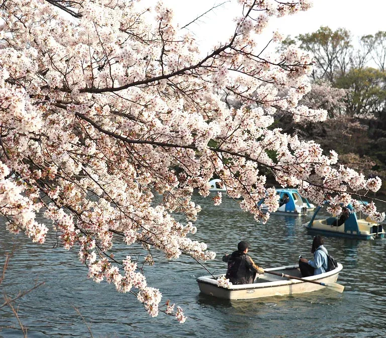 inokashira-park