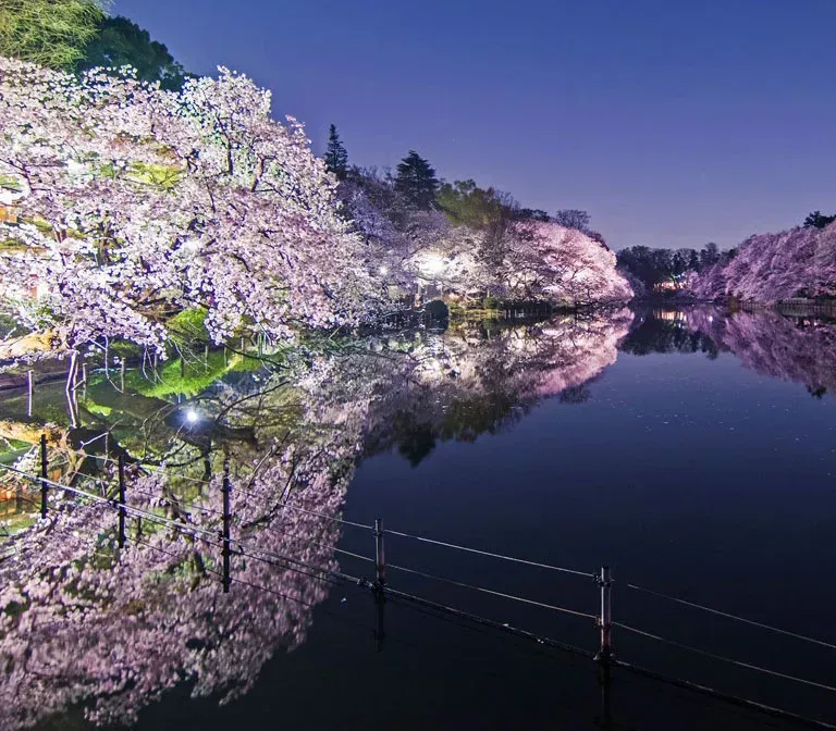 inokashira-park