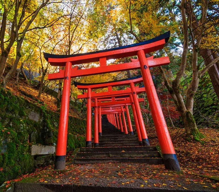 https://www.talonjapan.com/wp-content/uploads/2024/06/izushi-castle-town-1.webp