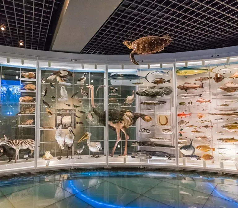 national-museum-nature-science
