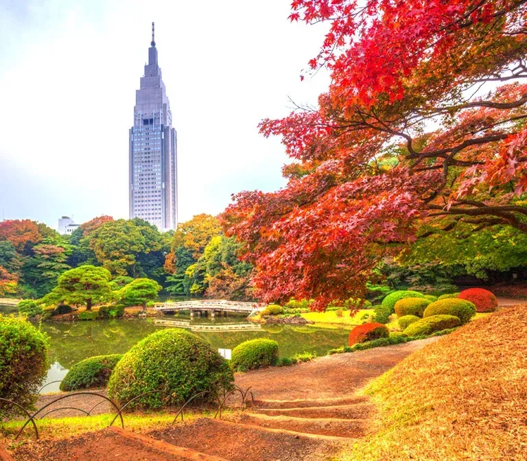 tokyo-autumn