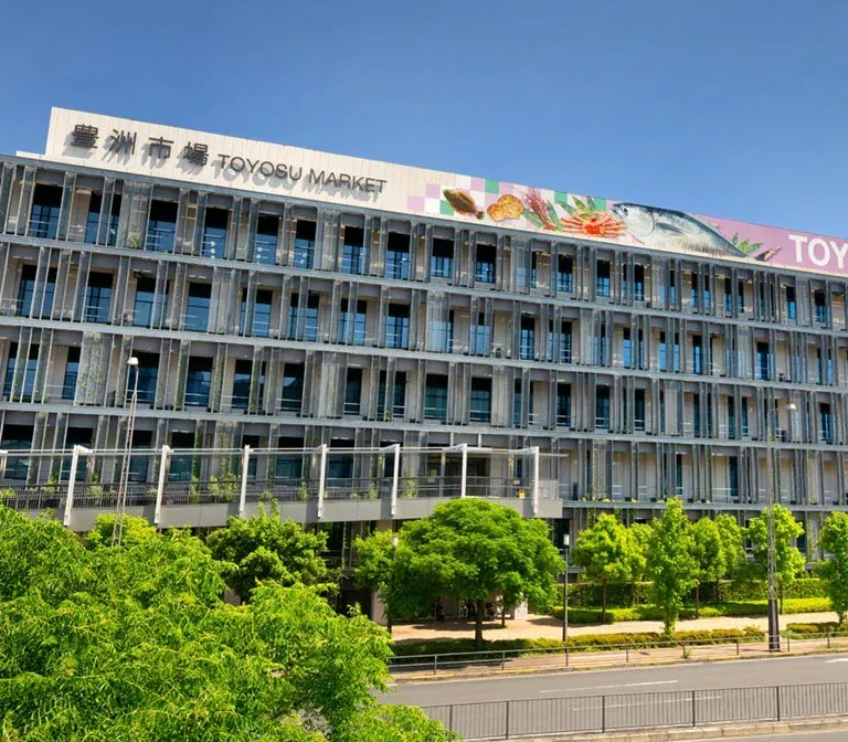 toyosu-fish-market