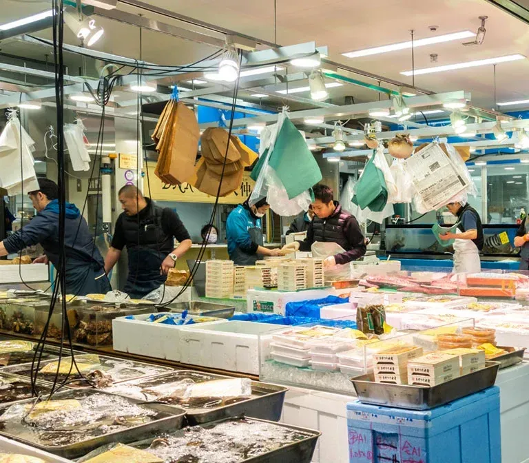 toyosu-fish-market