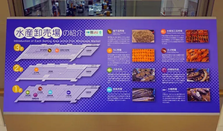toyosu-fish-market