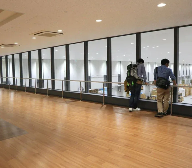 toyosu-fish-market