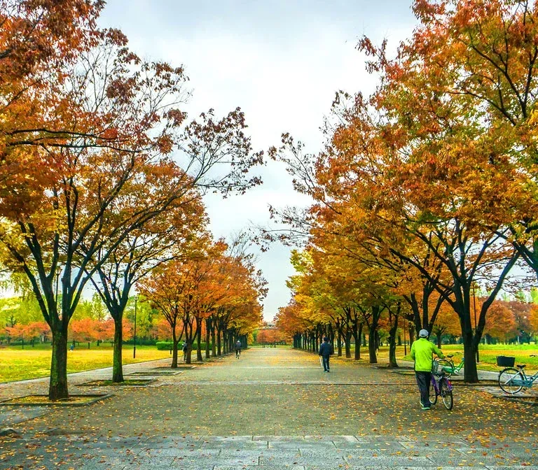 tsurumi-ryokuchi-park